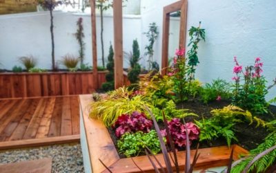 Small Garden Solutions: Maximizing Urban Garden Design