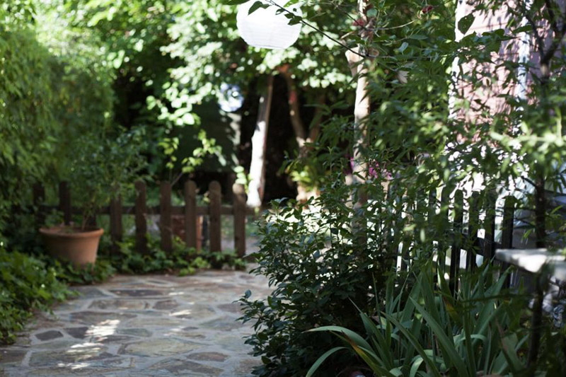 Plants for Shady Places in Brighton