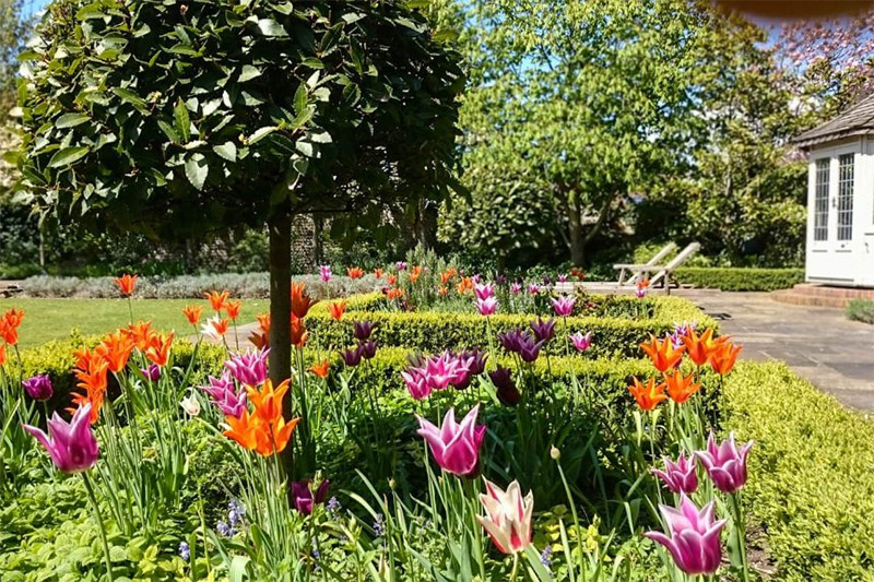 Revamping Your Garden for Spring