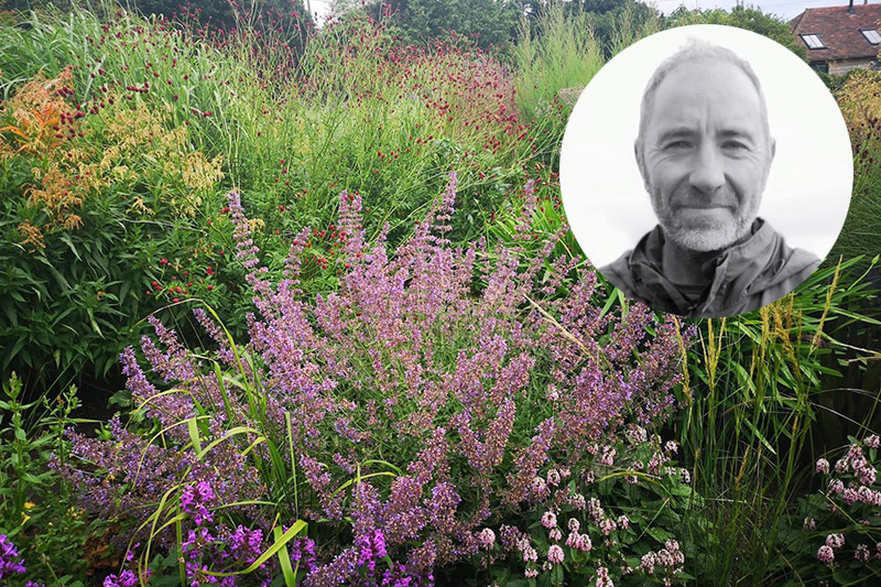 choose a good garden designer