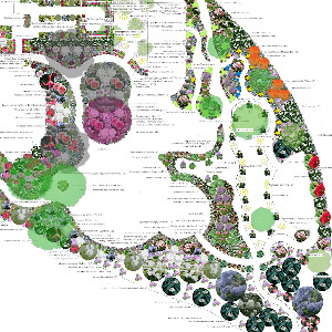 example planting plan for design