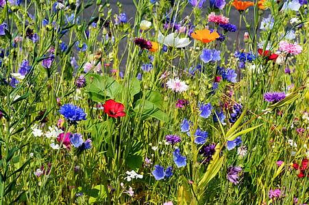 garden designer for living