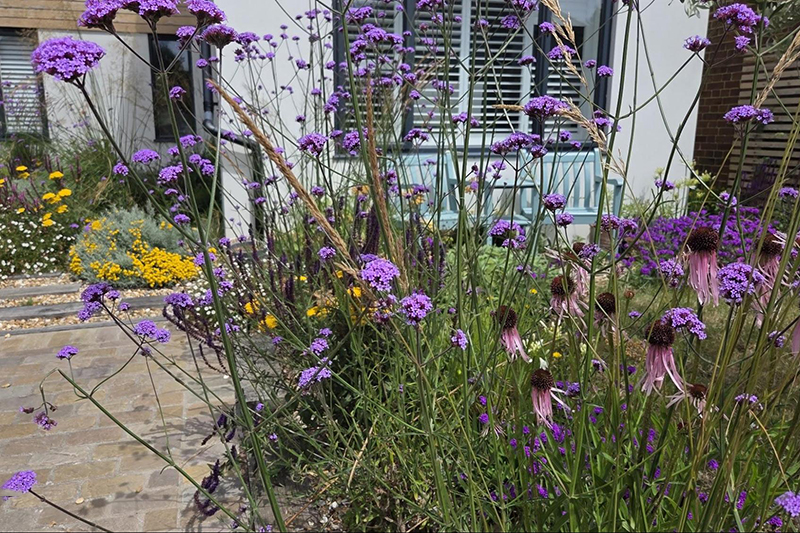 my life as gardener in brighton