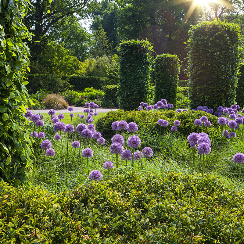 planting design consultancy services