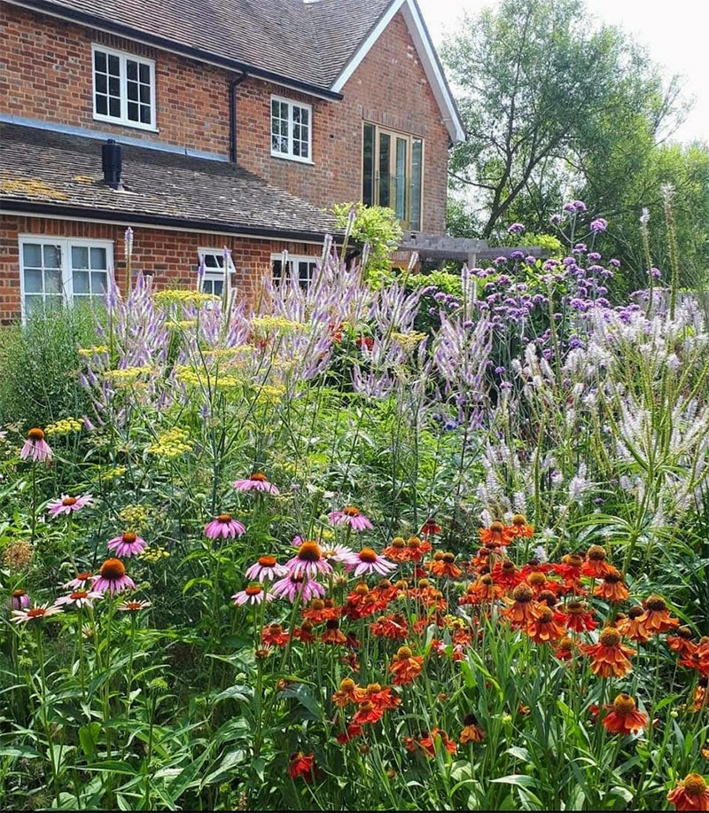 planting design designer sussex