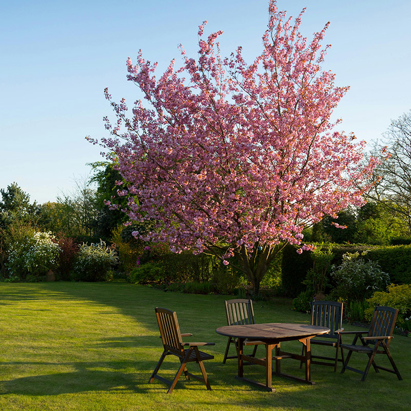 planting design inspiration sussex kent