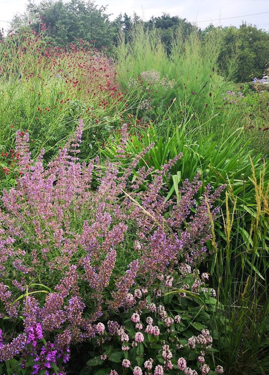 planting design services sussex kent