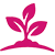 planting design