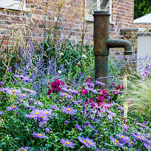 planting plants in sussex kent garden